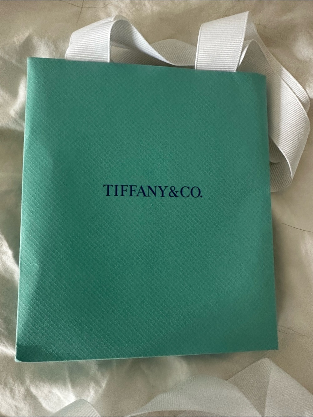 Tiffany & Co. Robin's Egg Blue Gift Bags with White Handles (Set of 4) - Picture 3 of 5